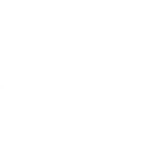 CCURE mexico